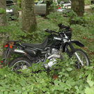 normal_04072010vuglangeggffaktivnews_16.jpg
