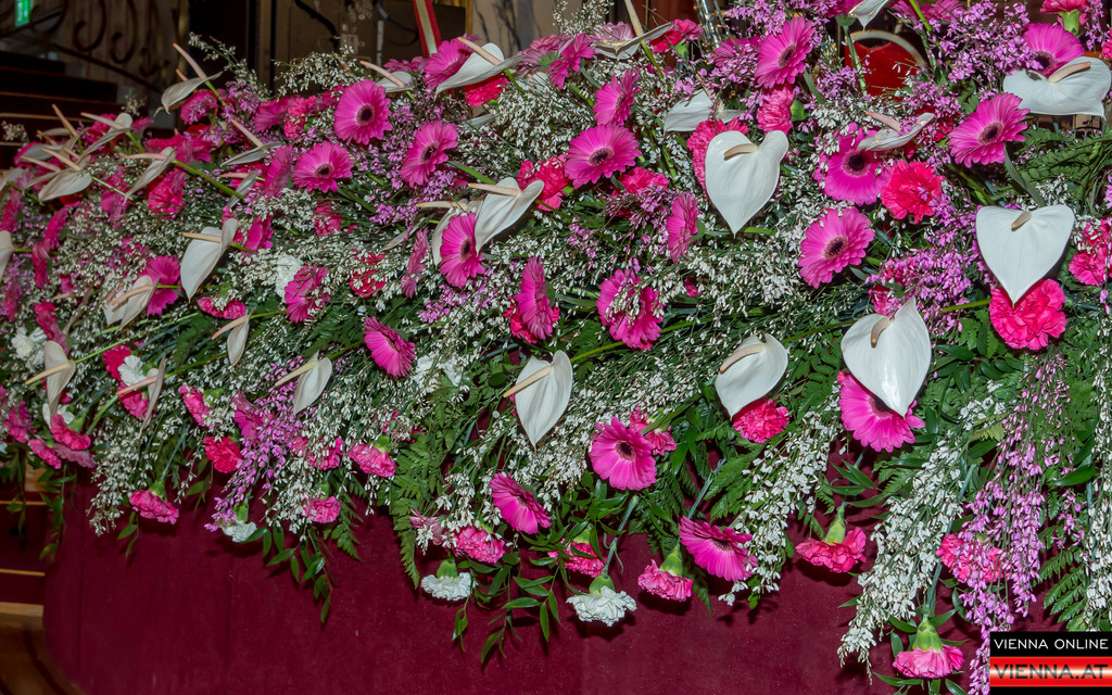 20_ Regenbogenball _11 von 325_.jpg