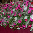 20_ Regenbogenball _11 von 325_.jpg