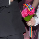 20_ Regenbogenball _60 von 325_.jpg