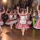 20. Regenbogenball - Austria Trend Parkhotel Schönbrunn - 28.01.2017 - Teil 3/5
