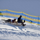 _DSC8985 k.jpg