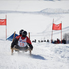 _DSC8829.jpg
