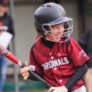 Baseball bei den Cardinals