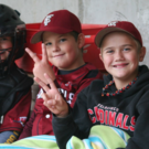 Baseball bei den Cardinals