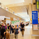 AFP_L82NE.jpg