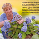 Homöopathie