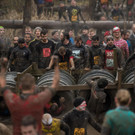 AFP_L73F5.jpg