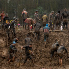 AFP_L7349.jpg