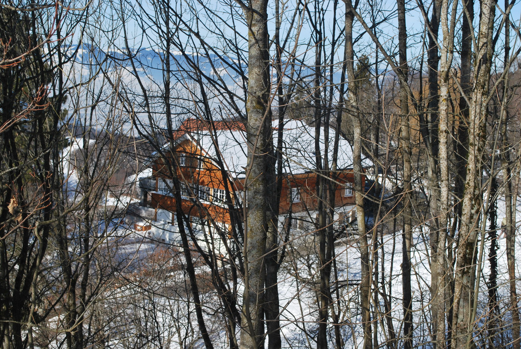 DSC_0071.JPG