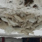 20170131_141121.jpg