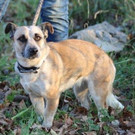 Nitra_am_26_11_2016_400.jpg