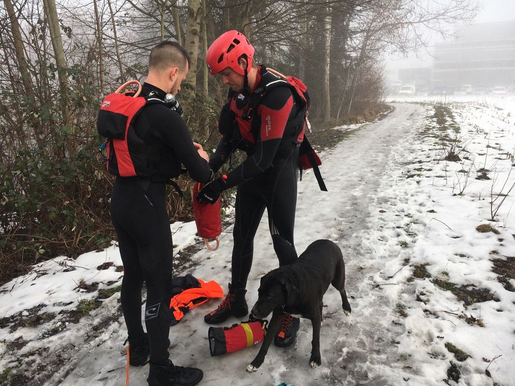 hund-rettung-vorarlberg-brederis.jpg