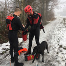 Hund bricht in Eis ein 