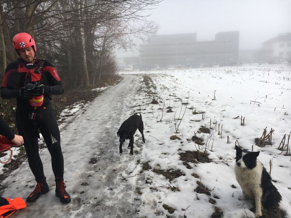 hund3.jpg