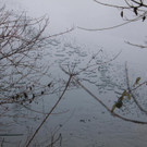 IMG_0066.JPG