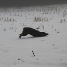 IMG_0069.JPG