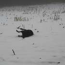 IMG_0071.JPG