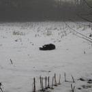 IMG_0073.JPG