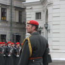 IMG_5585.JPG
