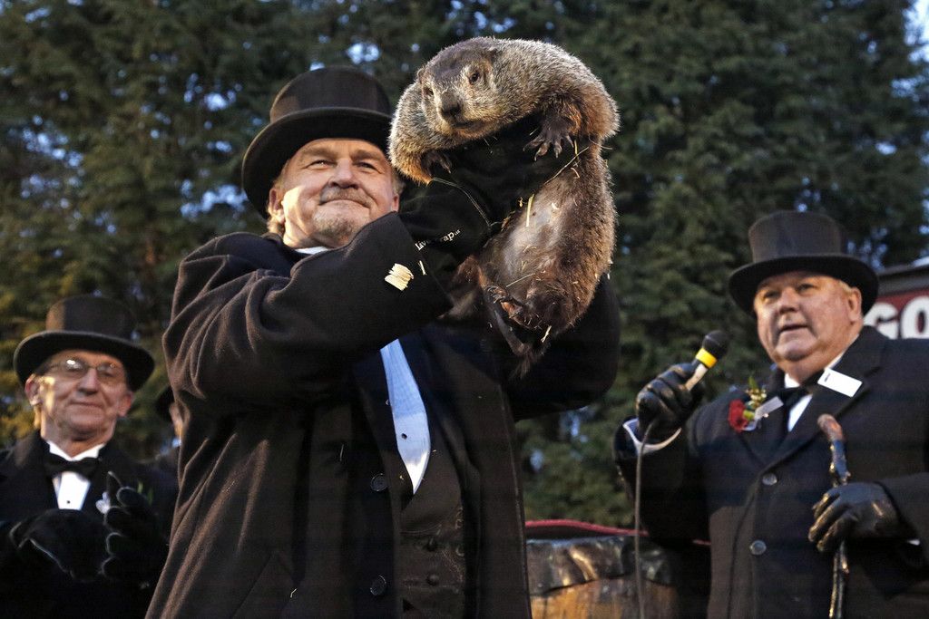 APTOPIX_Groundhog_Day_10426.jpg