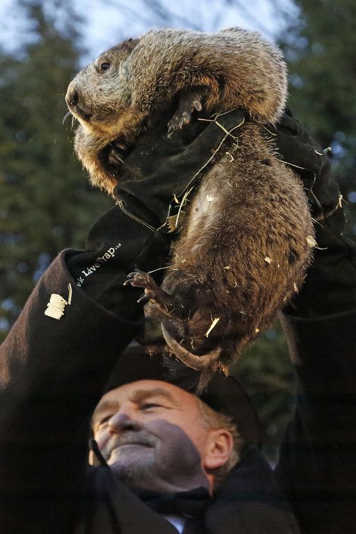 Groundhog_Day_81564.jpg