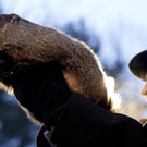 Groundhog_Day_82988.jpg