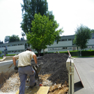 Bild 032_jpg-1278286384