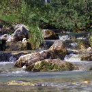DSCF2094.jpg