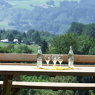 DSCF2146.jpg
