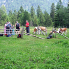 DSCF2190.jpg