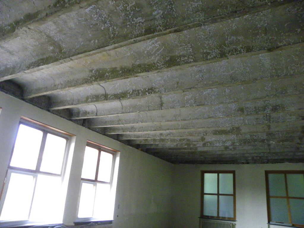 Bild 008_jpg-1278304970