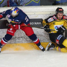 EXPA-THA-170204-0317.jpg