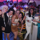 IMG_8274_JPG-1486309645.jpg