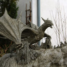 IMG_5143.jpg