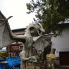 IMG_5153.jpg