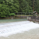 normal_04072010sucheffaktivnews_040.jpg
