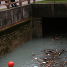 normal_0472010sucherlaktivnews_20_100_.jpg