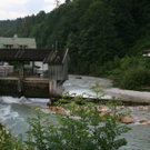 normal_0472010sucherlaktivnews_20_84_.jpg