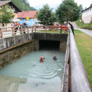 normal_0472010sucherlaktivnews_20_96_.jpg