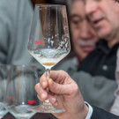 Beer Affairs - Die Wiener Biershow - Marriott Hotel Vienna - 07_02_2017 _36 von 84_.jpg
