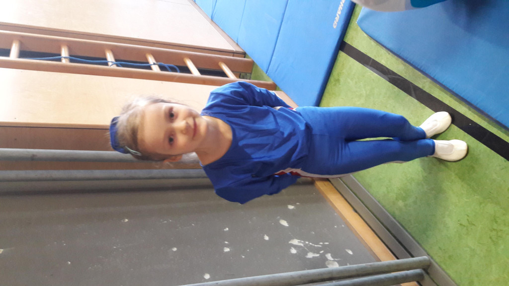 Tunrhallenturnier 2017.jpg