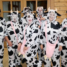 8_2017 Seniorentanz Gro__dorf59.jpg