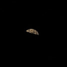 20170210fmt_vollmond_ta_010.JPG