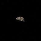 20170210fmt_vollmond_ta_017.JPG