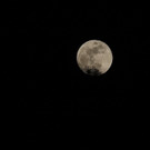 20170210fmt_vollmond_ta_075.JPG