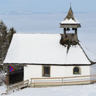 furx 100217_10.JPG