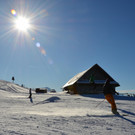 furx 290117_30.JPG