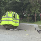 Philippines_Earthquake_34939.jpg