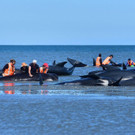 AFP_LL6N3.jpg